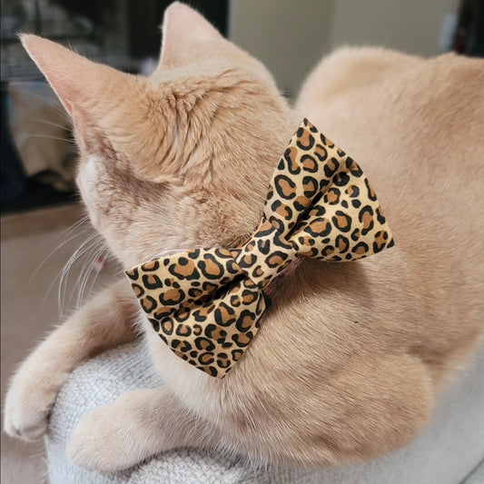 Collar Bows