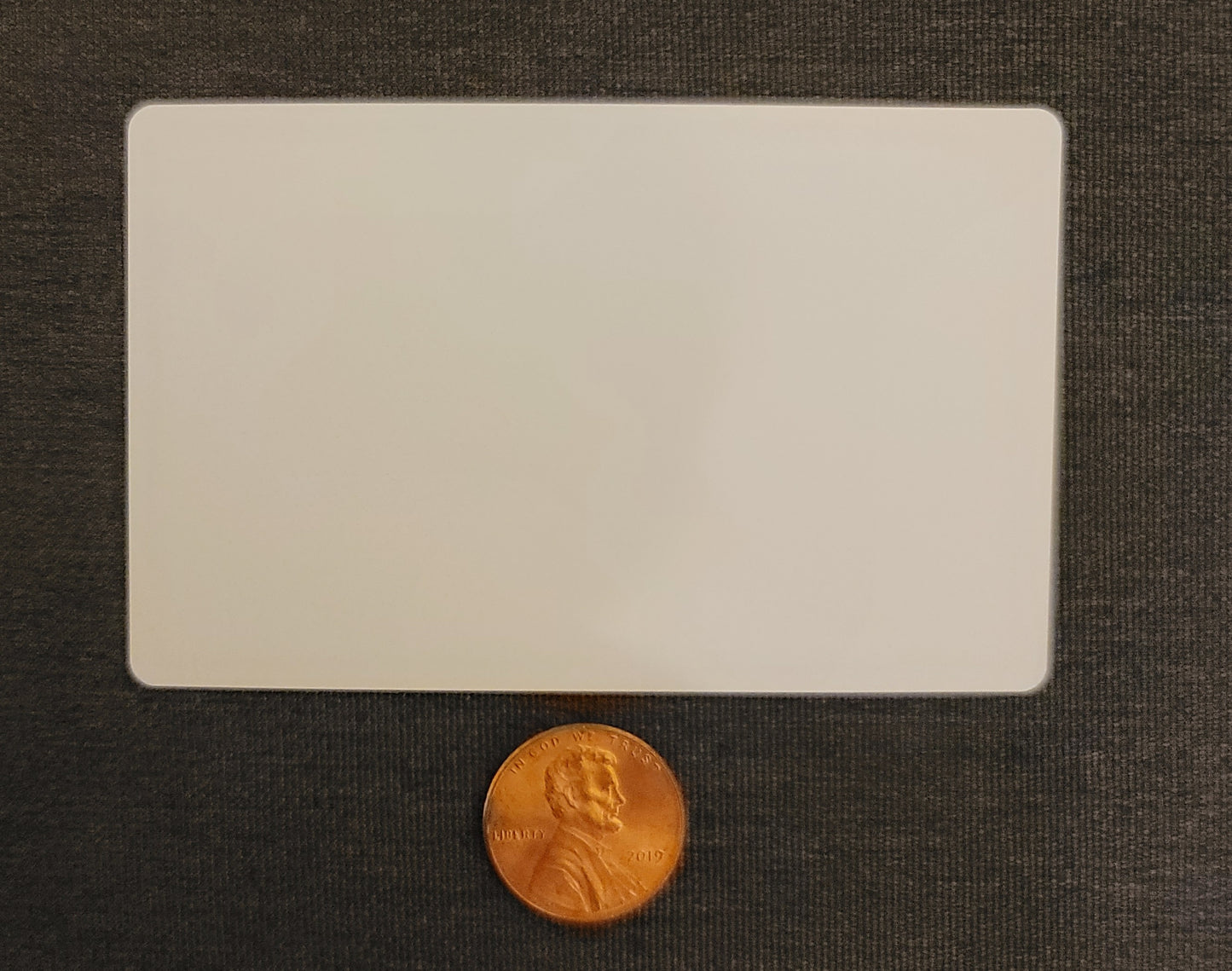 Dog Tags and Pet Name Plates -Seasonal