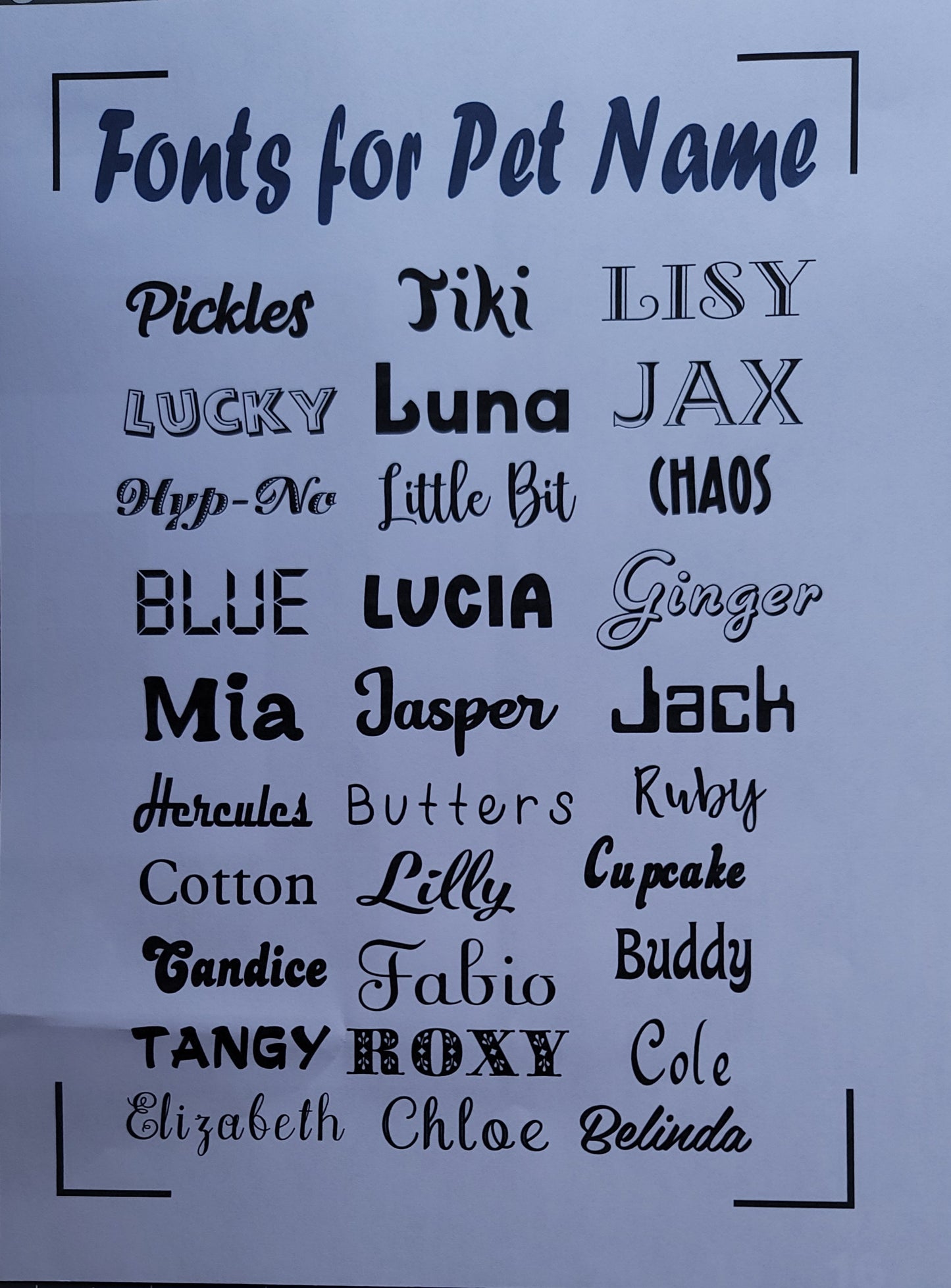 Kennel Nameplates for Enclosures