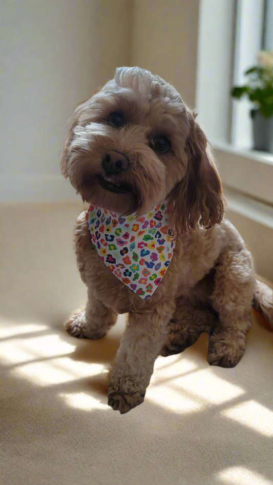 Pet Bandanas