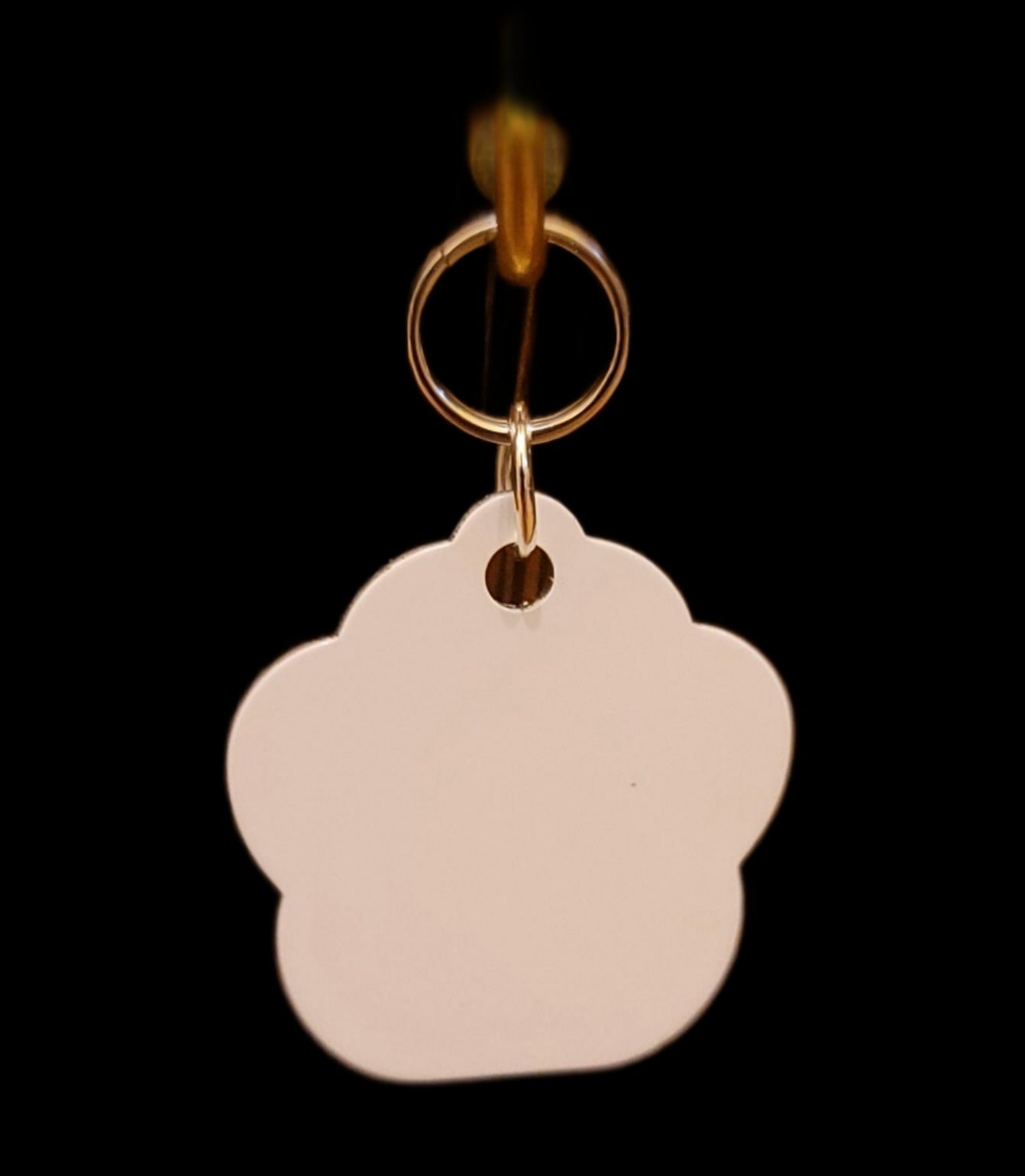 Dog or Cat Tag Small- Glow in dark Paw Print