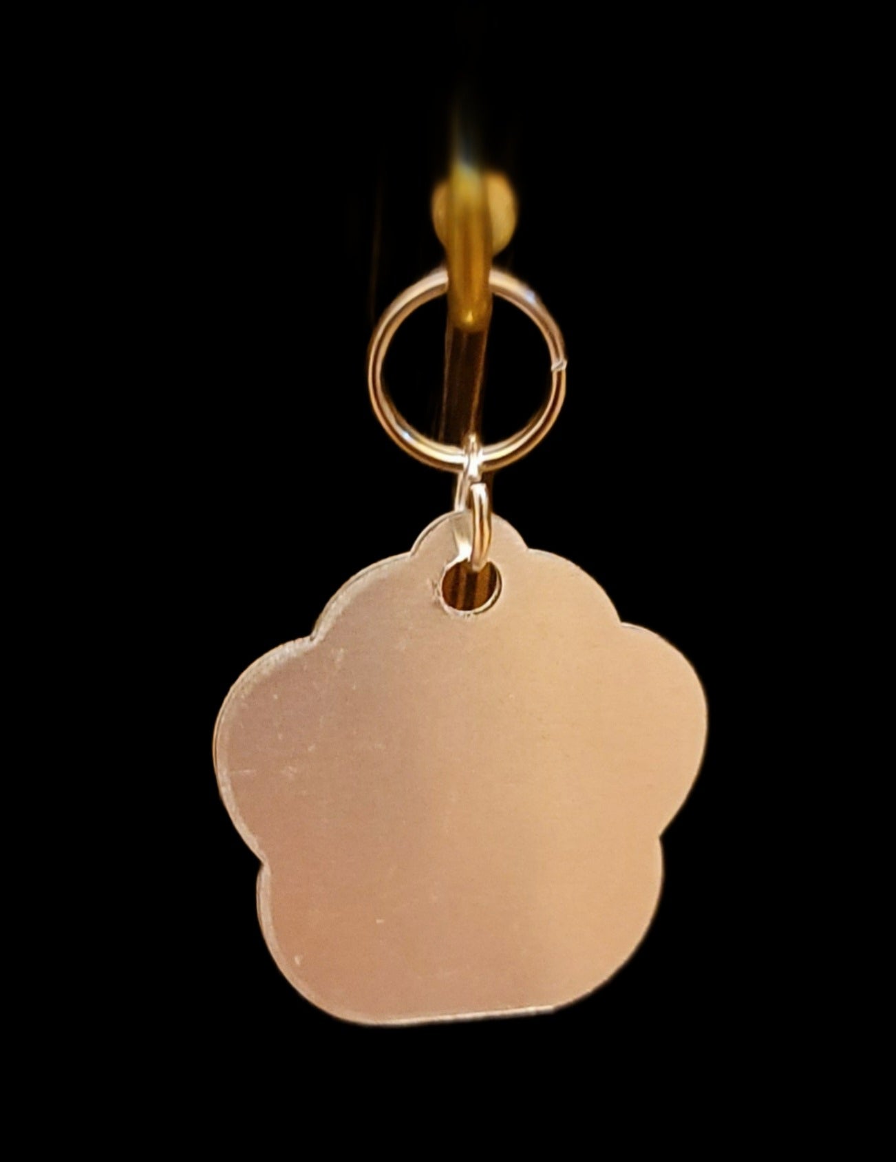 Dog or Cat Tag Small- Glow in dark Paw Print